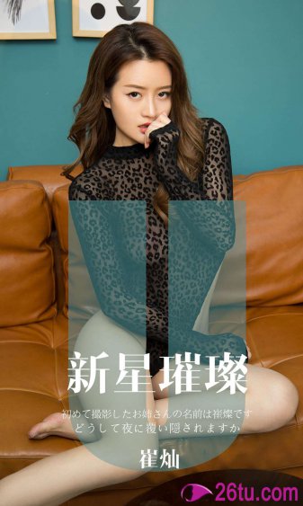 黑道家族第五季